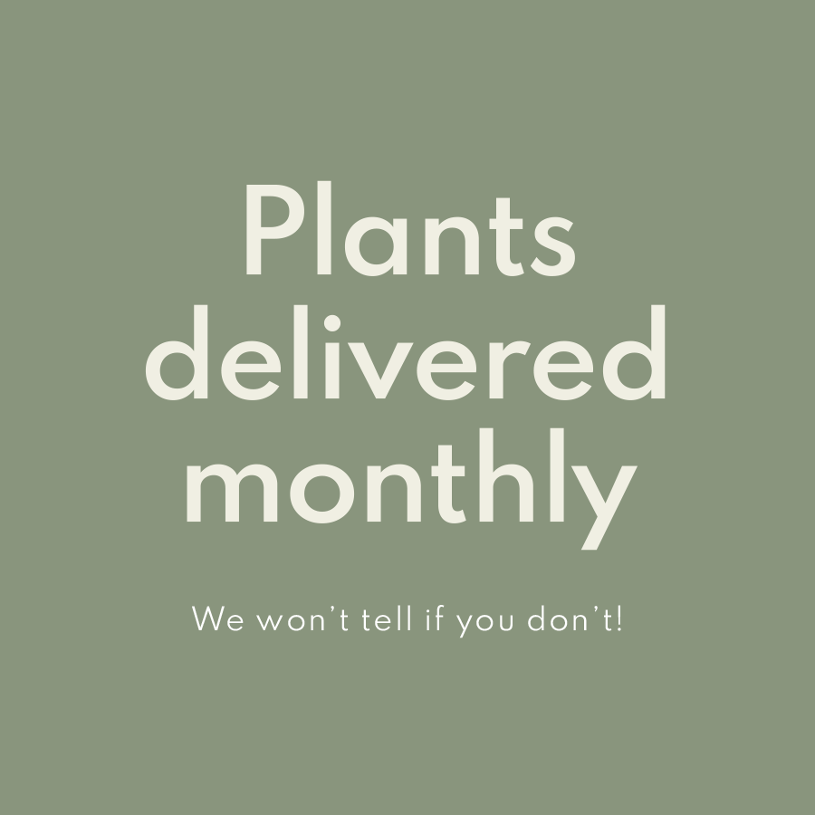 Plants delivered monthly